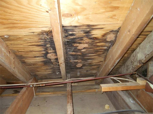 Roof Leak Repair in Mendham, NJ 07945 | American Sons Professionals