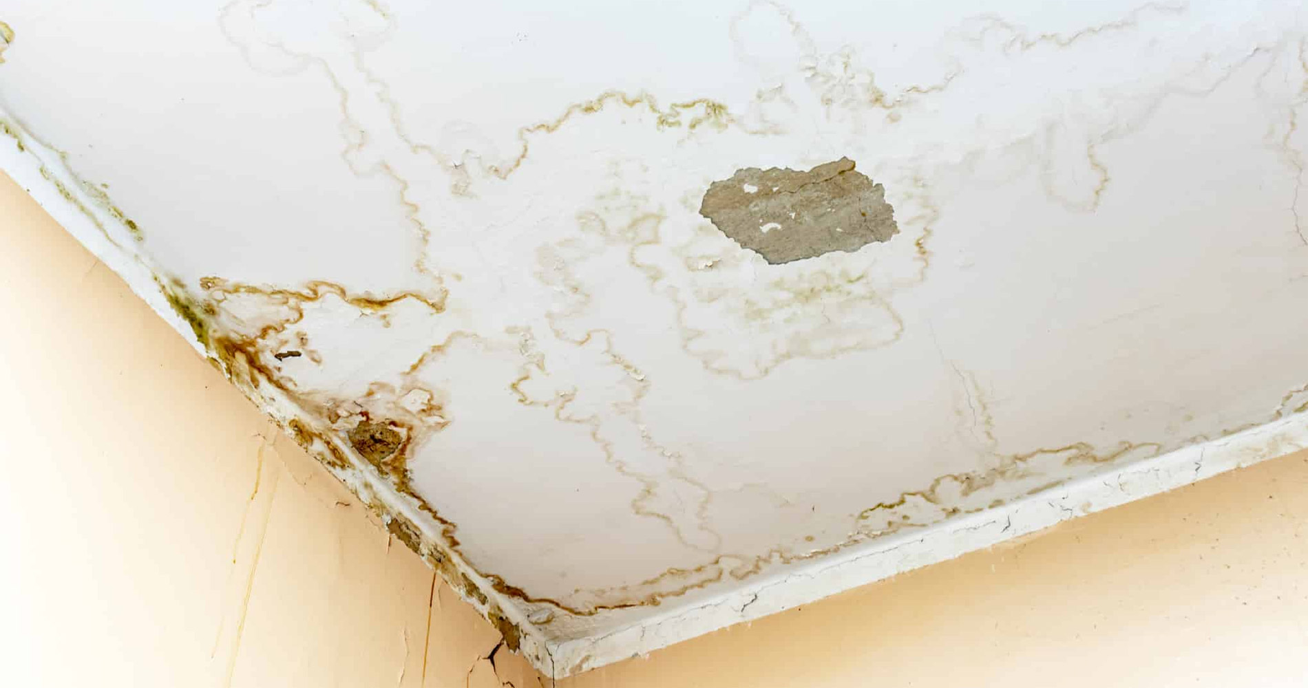 Roof Leaking in Mendham, NJ 07945? Call American Sons Professionals